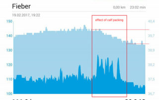 Temperature after calf wraps