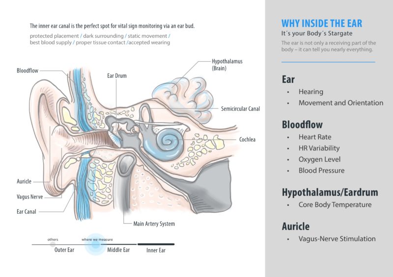 Measuring vital signs inside the ear