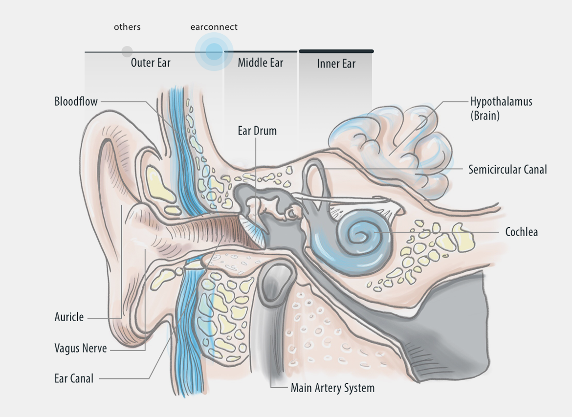 earconnect-technology-measurement-vital-signs_077