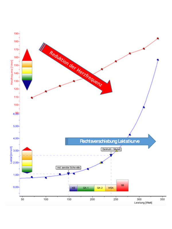 stufentest_allgemein Step test reference scheme