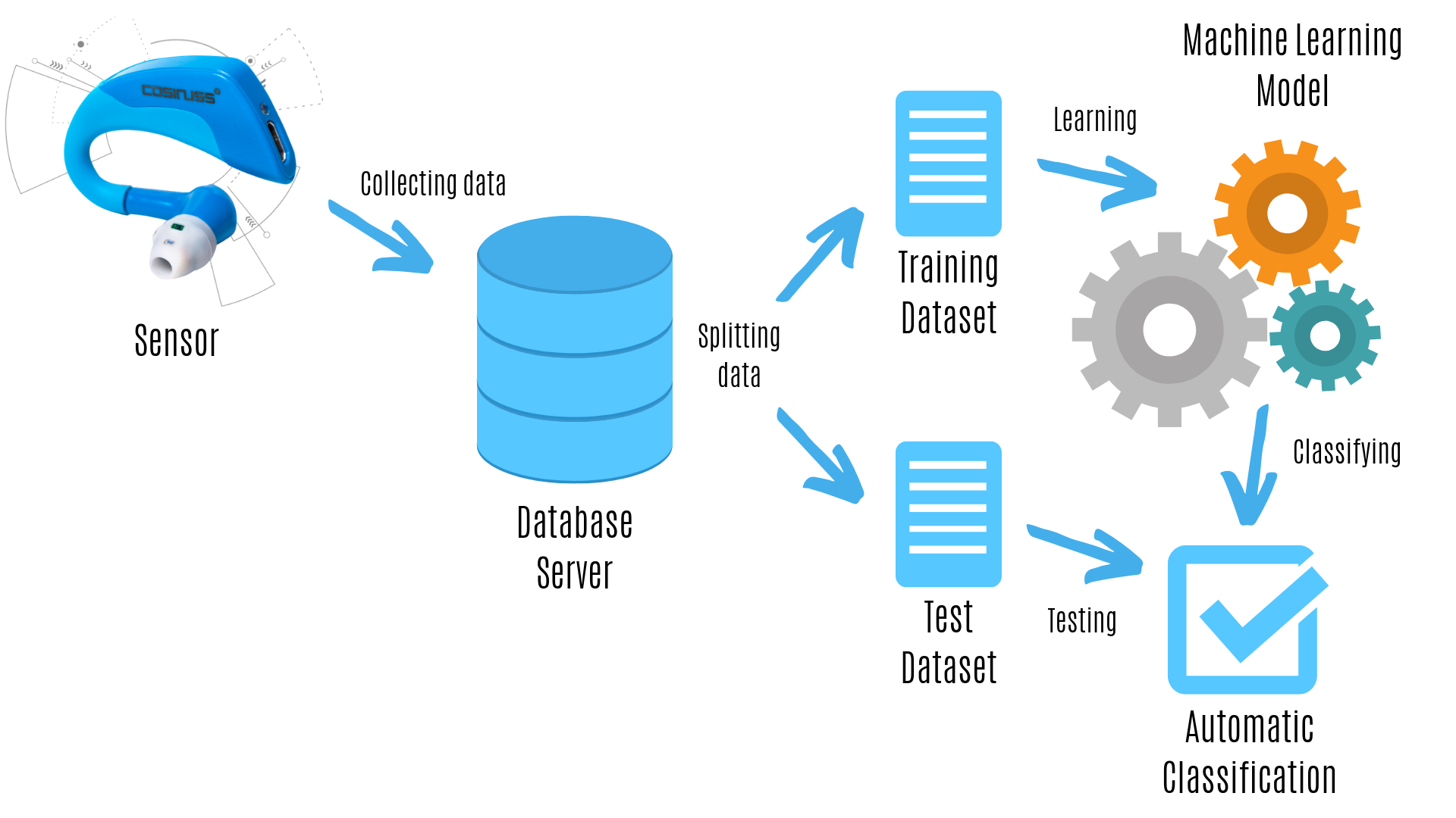 Creation of a Machine Learning Model with data from cosinuss One