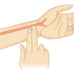 Illustration, wie Sie Ihre Herzfrequenz manuell mit zwei Fingern am Handgelenk überprüfen können.