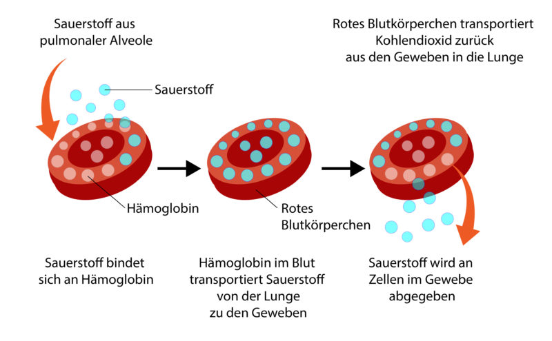 Was passiert wenn der blutsauerstoff zu niedrig ist?