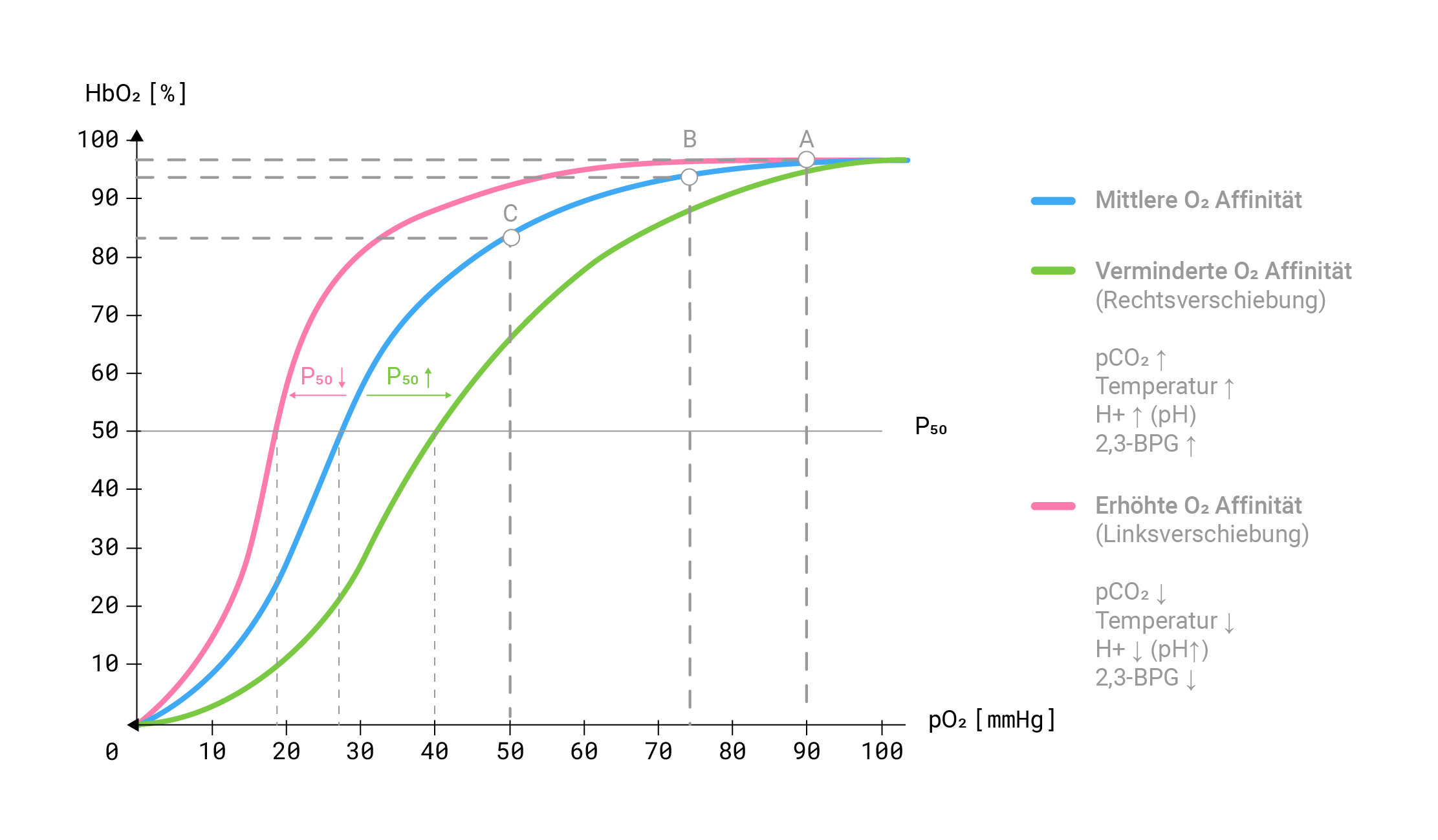 Kurvendiagramm über den Zusammenhang von Sauerstoffsättigung und Sauerstoffpartialdruck, die sog. Sauerstoffbindungskurve