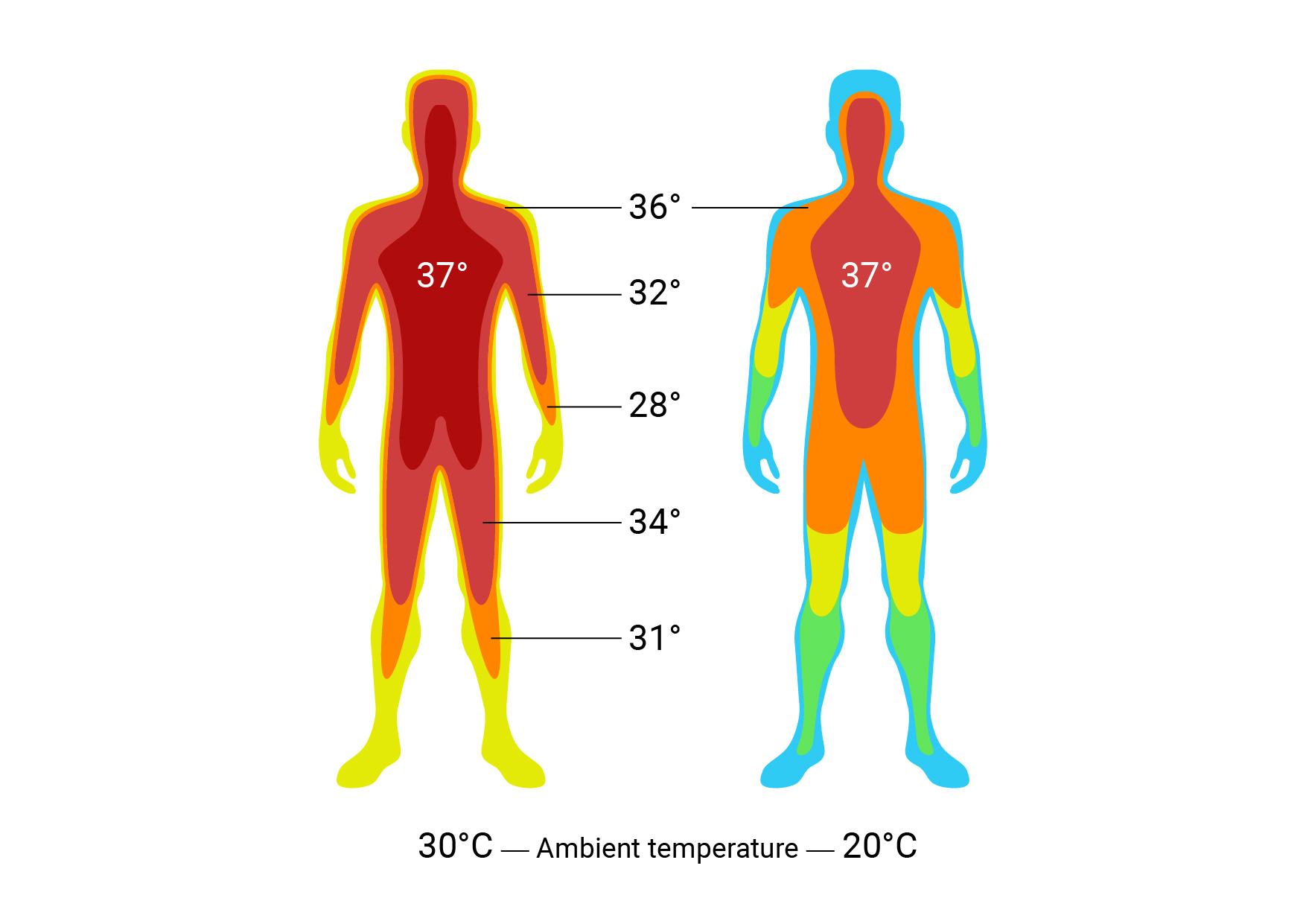 Body Temperature Normal Ranges And How To Measure Cosinuss°