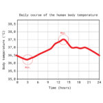 Chart of the daily course of the human body temperature