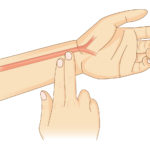 Illustration on how to check your heart rate manually with two fingers on your wrist.