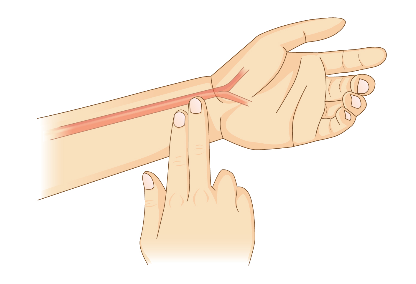 COS-cosinuss-heartrate-palpation-EN-XXXX-V01-01 Illustration on hoe to check your heart rate manually with two fingers on your wrist.