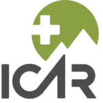 ICAR 2022 Logo